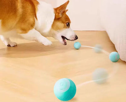 Automatic Moving Toy Interactive Ball Rechargeable Rolling Electric Ball Home Pet  Accessories Things for  Supplies